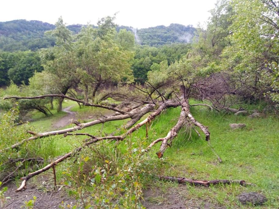 Atico En Pleno Pirineo Appartement El Pueyo de Jaca Buitenkant foto