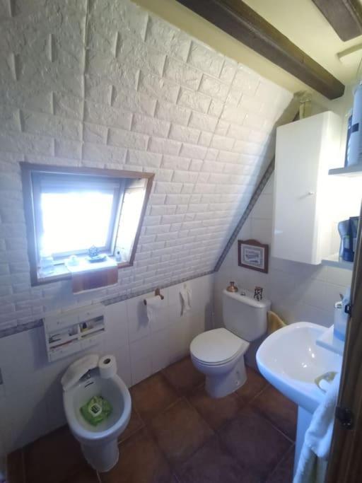 Atico En Pleno Pirineo Appartement El Pueyo de Jaca Buitenkant foto