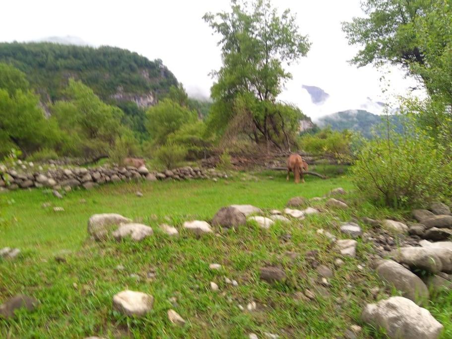 Atico En Pleno Pirineo Appartement El Pueyo de Jaca Buitenkant foto